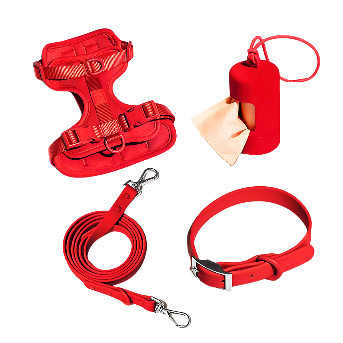 Zorynt™—Harness Walk Set