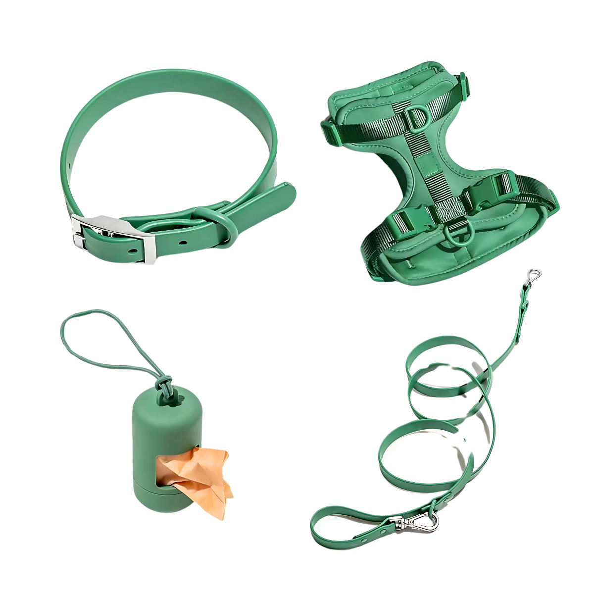 Zorynt™—Harness Walk Set