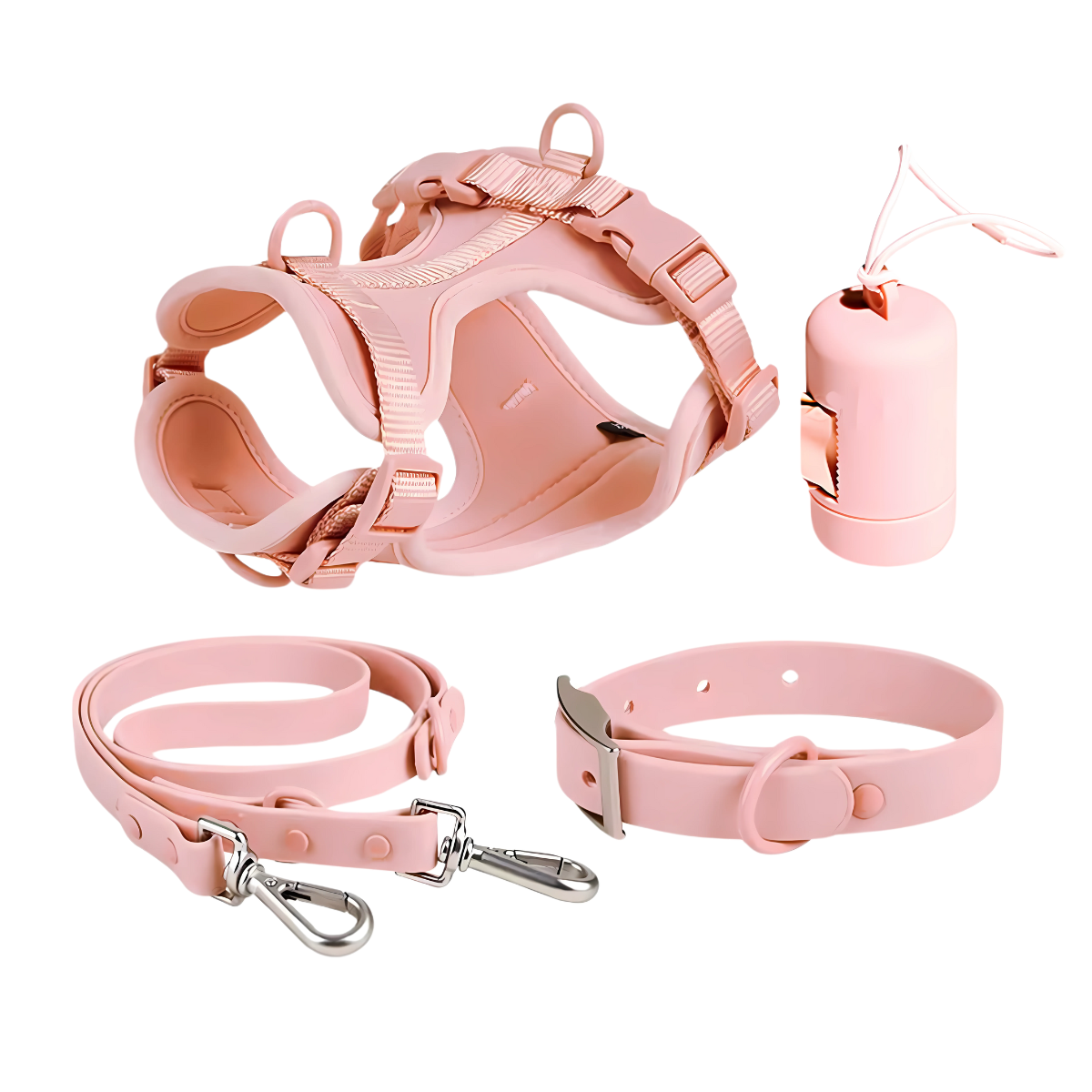 Zorynt™—Harness Walk Set