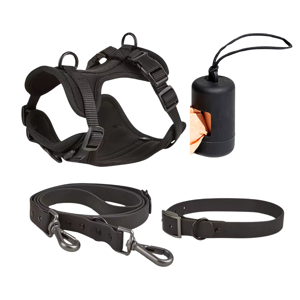 Zorynt™—Harness Walk Set