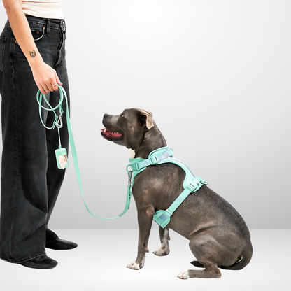 Zorynt™—Harness Walk Set