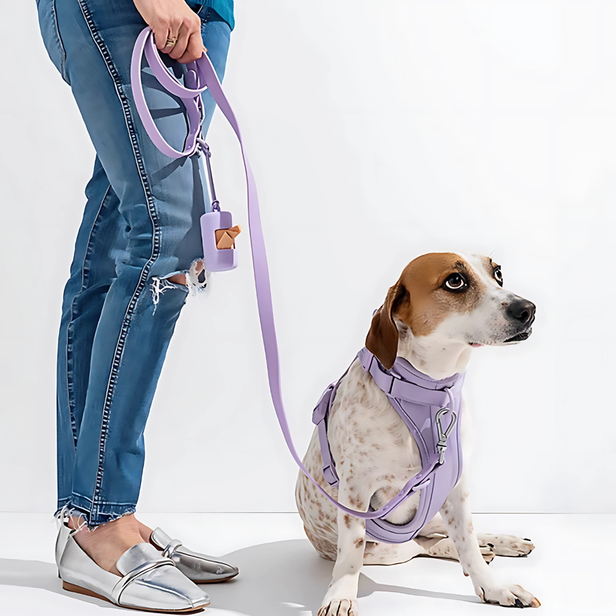 Zorynt™—Harness Walk Set