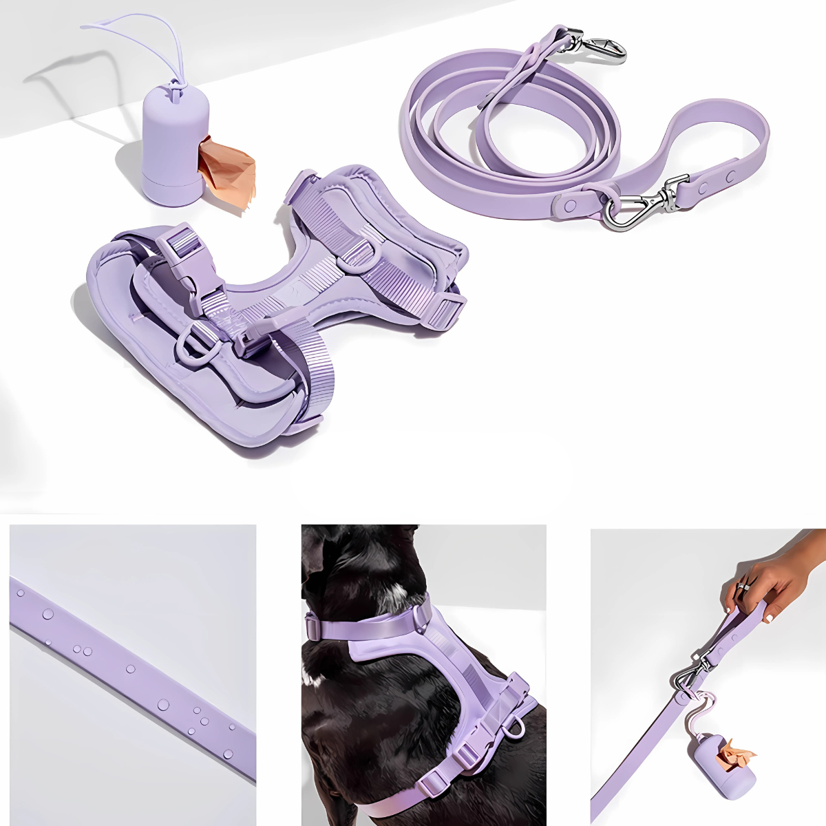 Zorynt™—Harness Walk Set